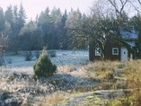efterår - Kopi
